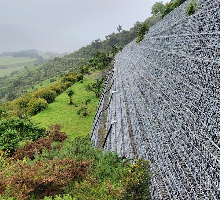 Reinforced Slopes & Retaining Walls-Wire Mesh System with Vegetated Face